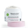 TEAOLOGY CREMA CORPO TE VERDE E AC. GLICOLICO 260 ML