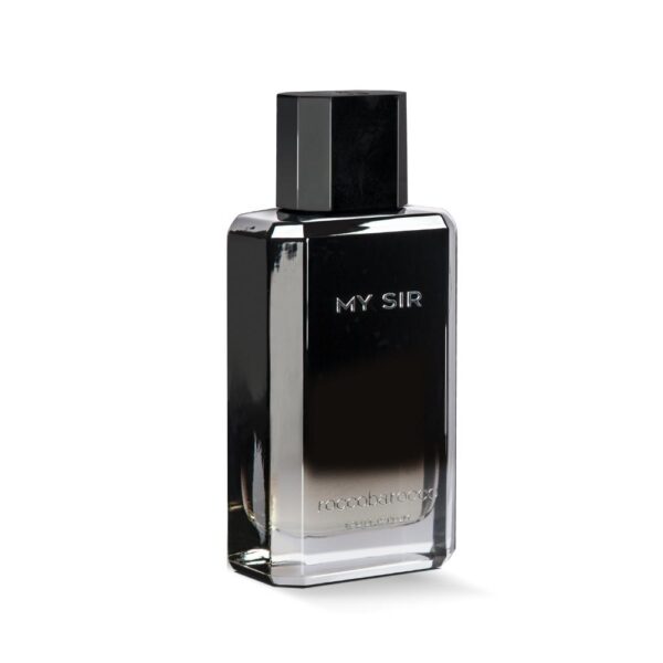 ROCCOBAROCCO MY SIR UOMO EDT 100 ML - immagine 2