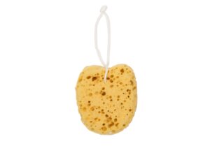 BIFFOLI SPUGNA OVALE CON CORDA COD.30291