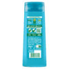 FRUCTIS SHAMPOO ANTI/FORFORA CITRUS DETOX 250 ML - immagine 2