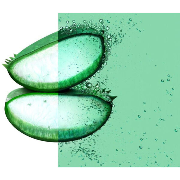 FRUCTIS MASCHERA HAIRFOOD ALOE VERA 390 ML - immagine 2