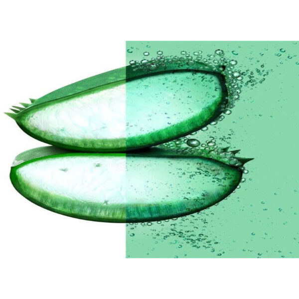 FRUCTIS SHAMPOO HAIR FOOD ALOE 350 ML - immagine 3