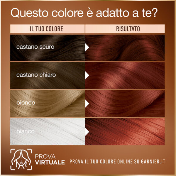 GARNIER GOOD CASTANO RAMATO IBISCO 5.5 - immagine 4