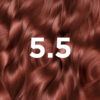 GARNIER GOOD CASTANO RAMATO IBISCO 5.5 - immagine 2