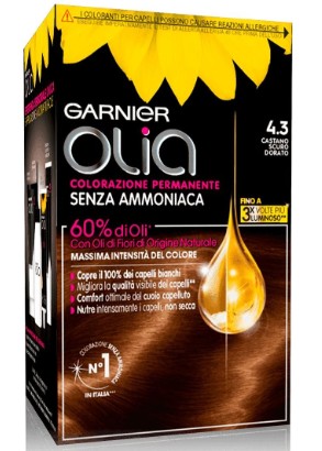 GARNIER OLIA CASTANO SCURO DORATO 4.3