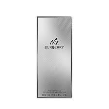 BURBERRY MR BURBERRY EDP 100 ML