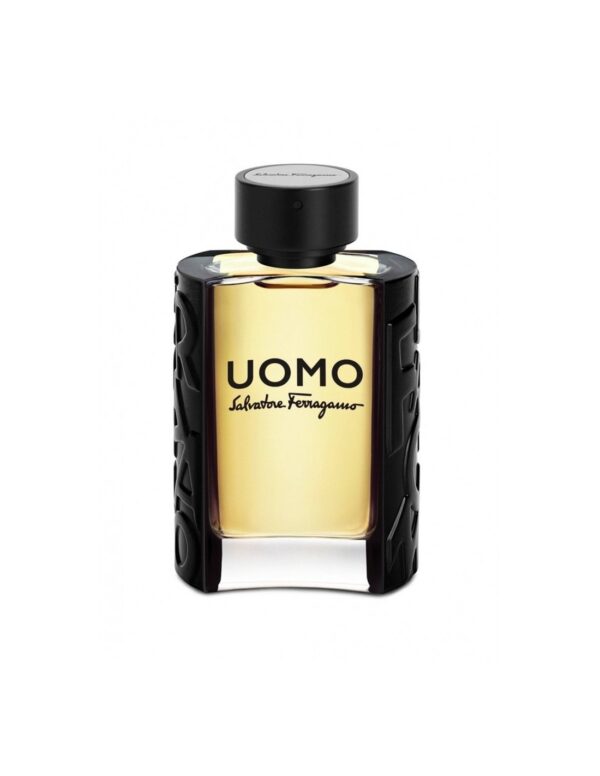 SALVATORE FERRAGAMO UOMO EDT 100ML - immagine 2