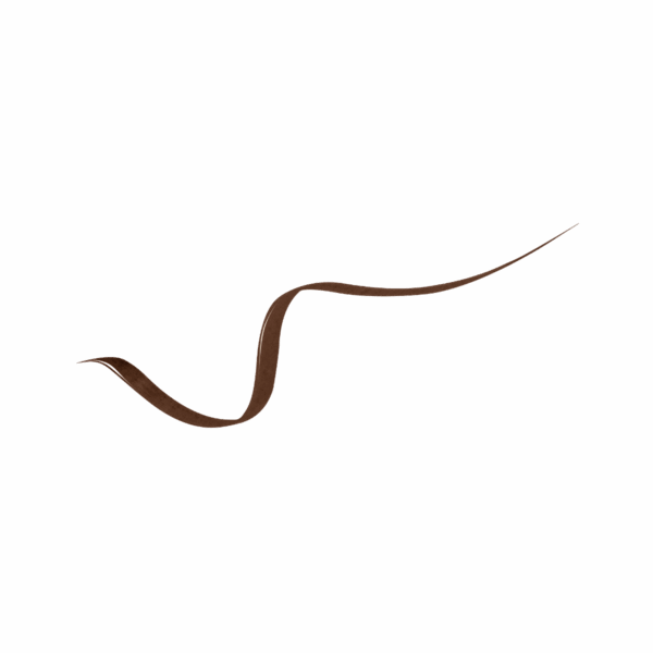 LANCOME LINER IDOLE 012 BROWN - immagine 2